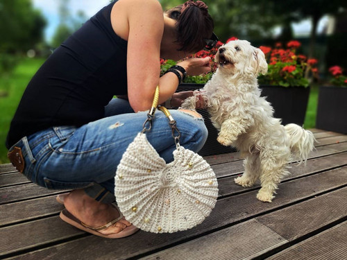 Bielo - zlatá mušľa — foto 4