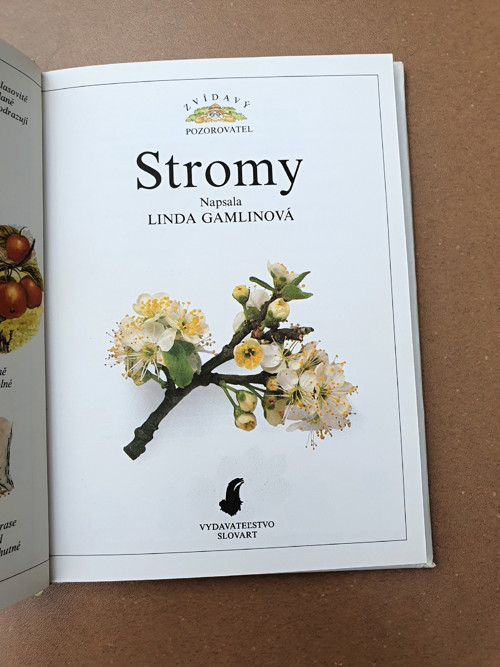 Stromy — foto 2