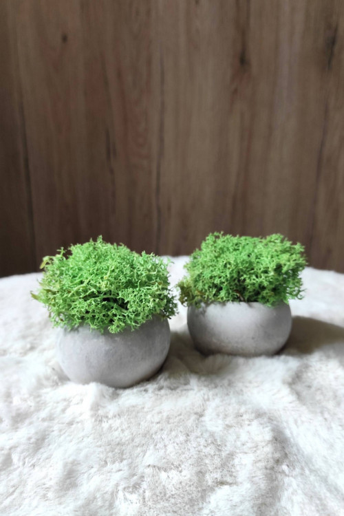 Mechová dekorace mini 1 — foto 2
