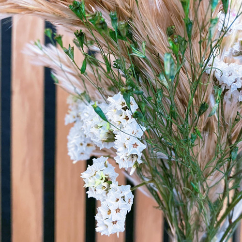 Polní cesta — foto 6