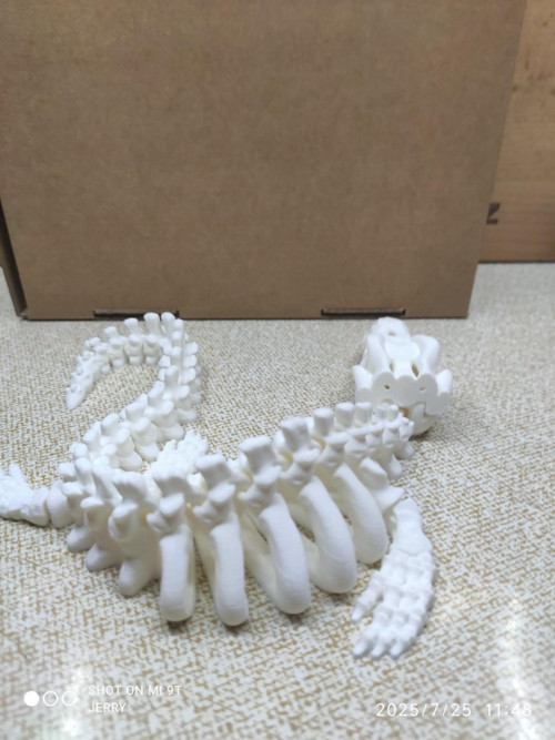 Kostra - Mosasaurus — foto 2