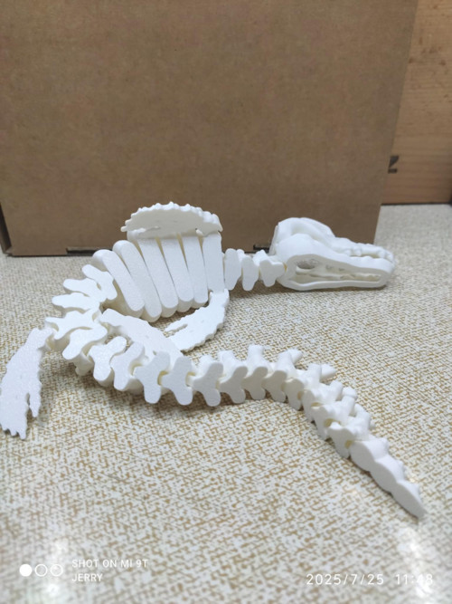 Kostra - Mosasaurus — foto 3