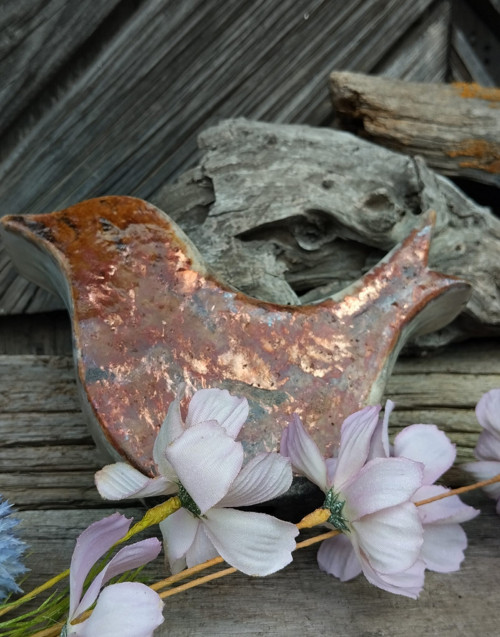 Raku motýle — foto 3