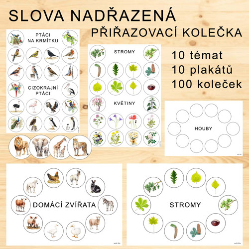 Slova nadřazená a podřazená v PDF — foto 4