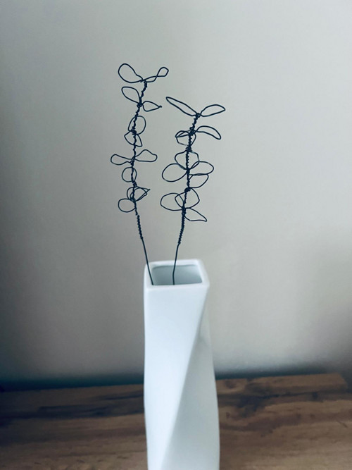 Drátkované lístky - Eukalyptus — foto 2