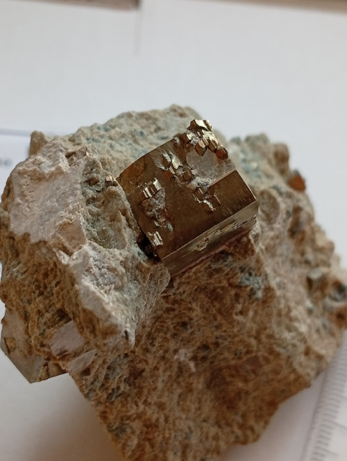 PYRIT — foto 2