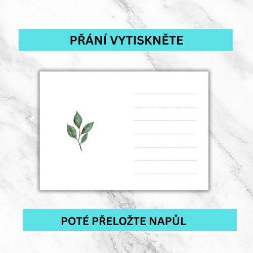 KVĚTINOVÉ PŘÁNÍ — foto 3