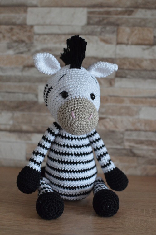 Háčkovaná zebra — foto 2
