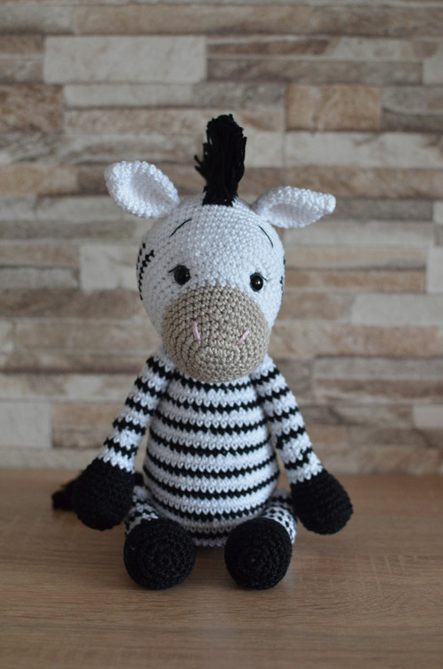 Háčkovaná zebra — foto 4