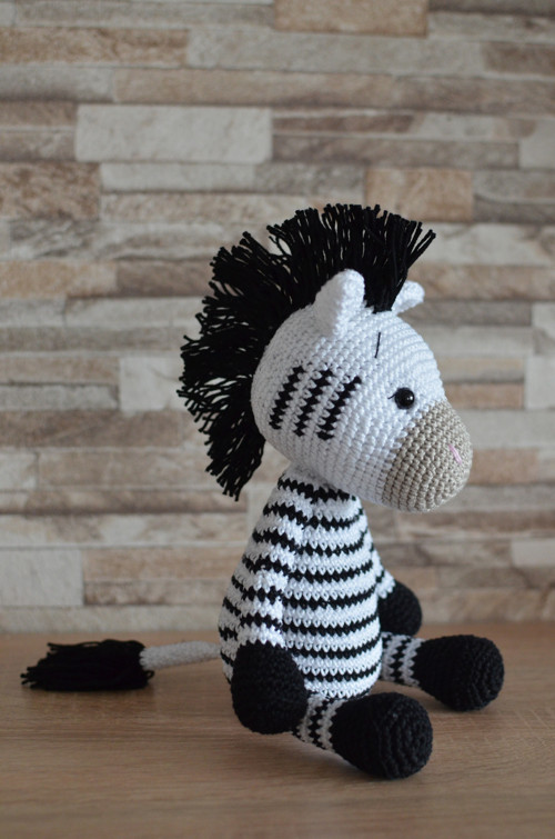 Háčkovaná zebra — foto 5