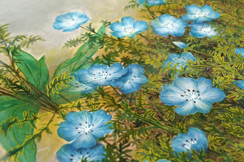 Nemophila - Originál — foto 3
