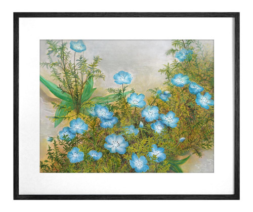 Nemophila - Originál — foto 5