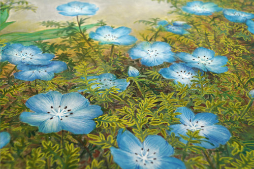 Nemophila - Originál — foto 4