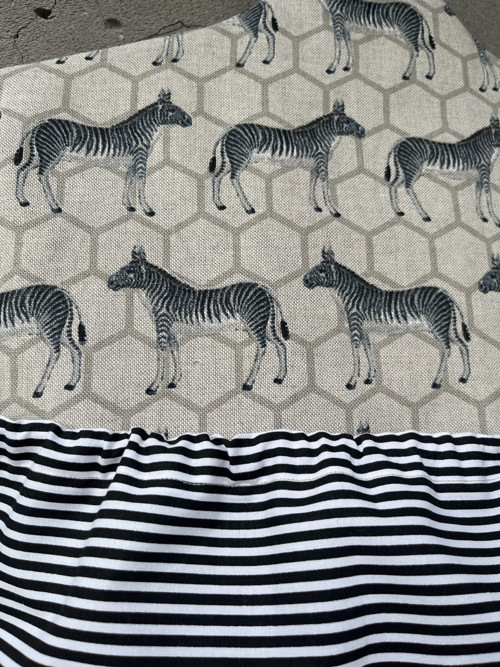 Kapsář- Zebra s proužkem — foto 2
