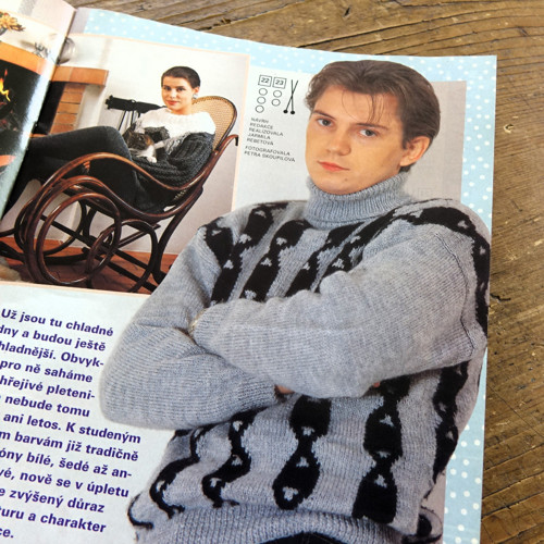Praktická žena ... 11/1995 — foto 5