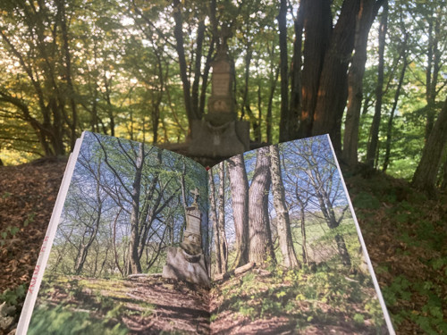 Rok na Kopanicách — foto 2