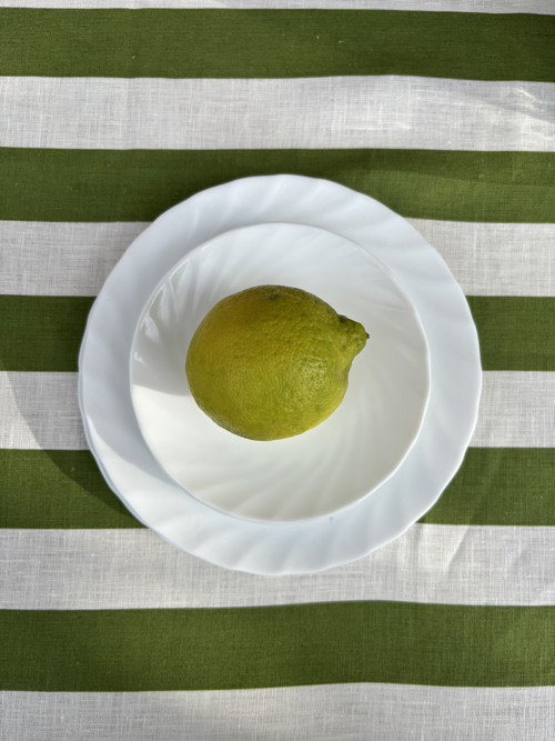 Lněný ubrus Limete — foto 5
