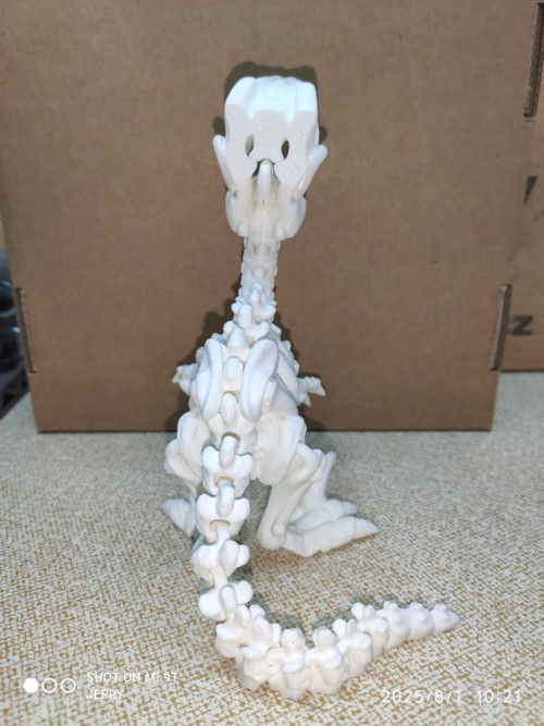 Kostra - Raptor — foto 3