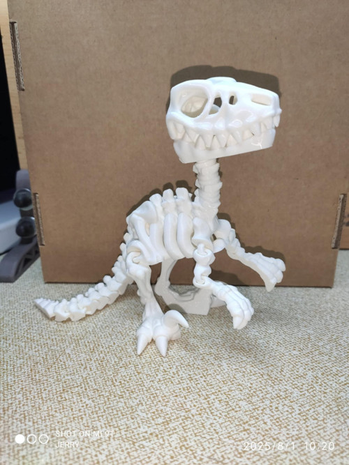 Kostra - Raptor — foto 2