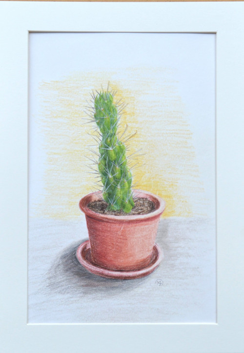 Originál - kaktus polychromem 29,5 x 21cm — foto 2