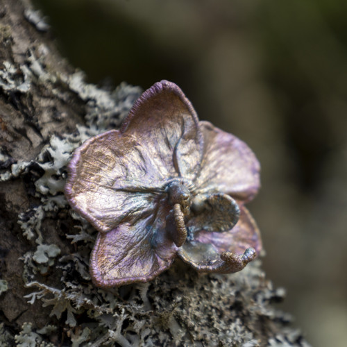 Brož - pokovená orchidej — foto 2