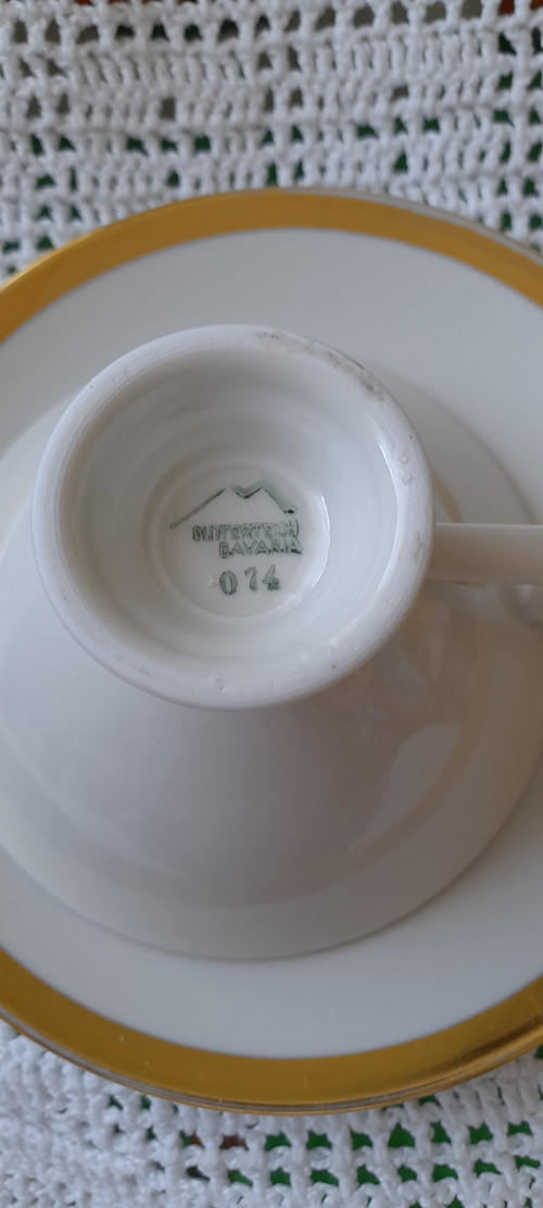 Růžová růže — foto 5