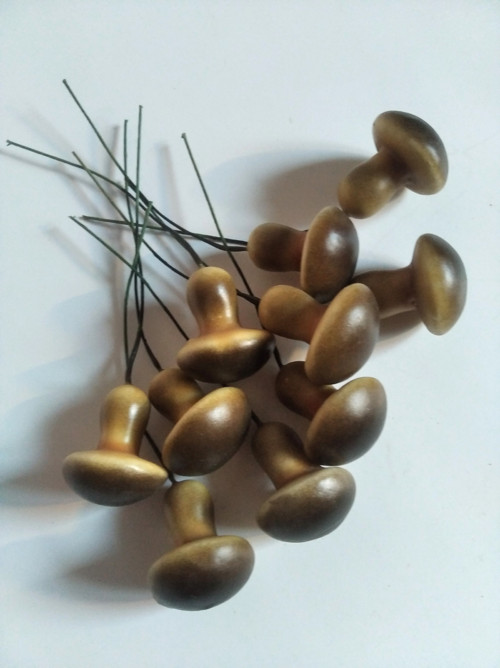 Hříbečky — foto 4