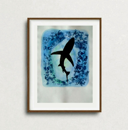 SHARK — foto 2