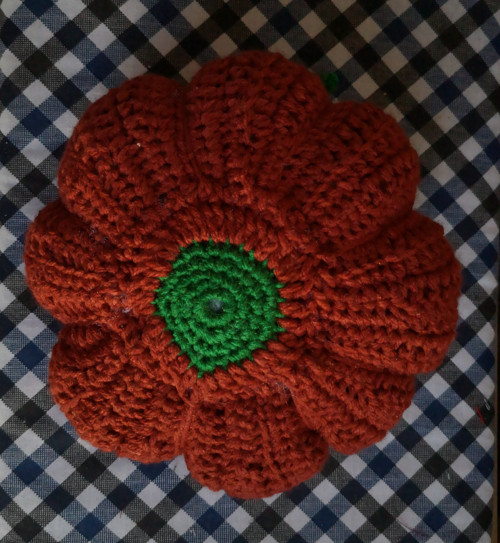Velká dýně průměr 19 cm — foto 2