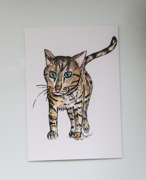 Print/přání Polly — foto 2
