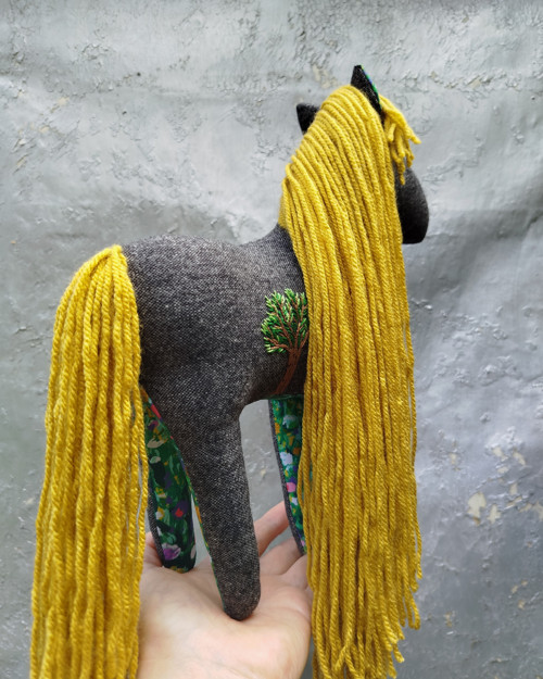 Koník s ofinou — foto 3