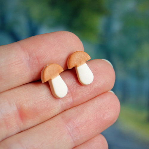Hříbky — foto 2