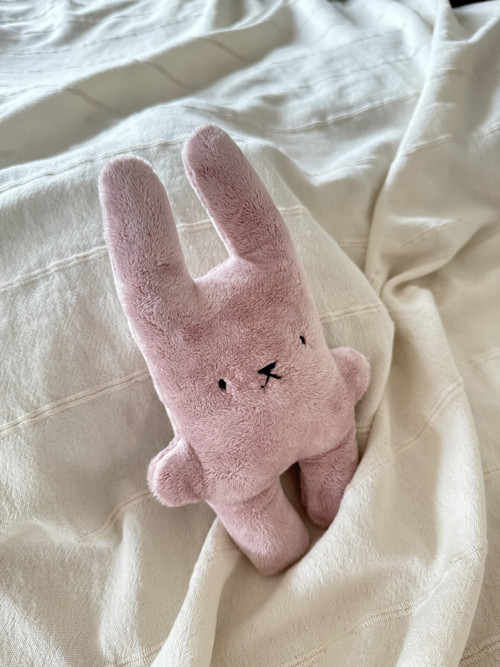 Mini Bubu Rabbit Soft - Pink — foto 2
