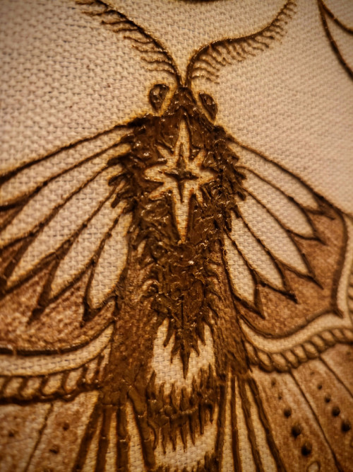 Hennový obrázek: Můra — foto 3