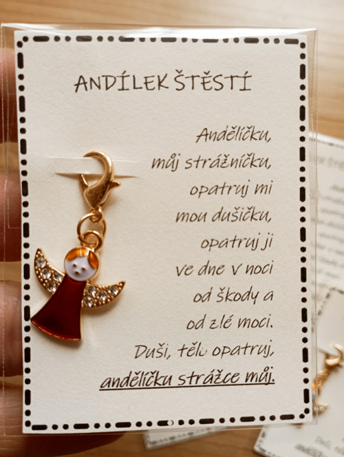 776 - Andělíčku můj strážníčku — foto 2