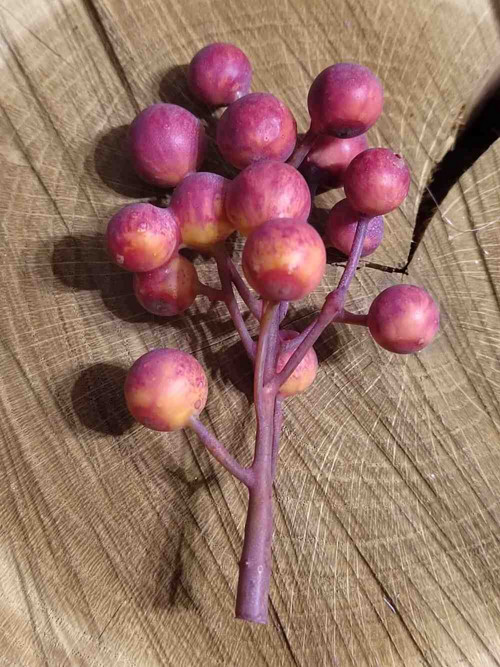 Bobule trs k aranžování — foto 2