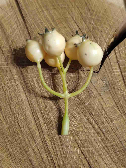 Bobule trs k aranžování šípek — foto 2