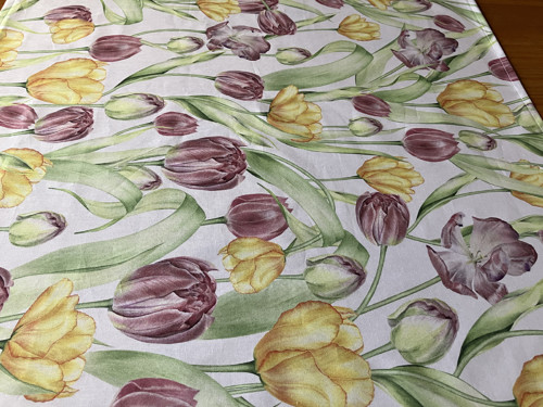 Běhoun tulipány širší — foto 3
