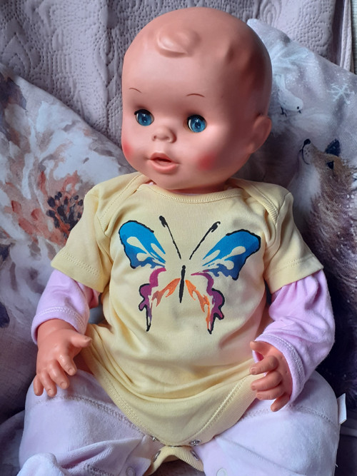 Motýlek — foto 3