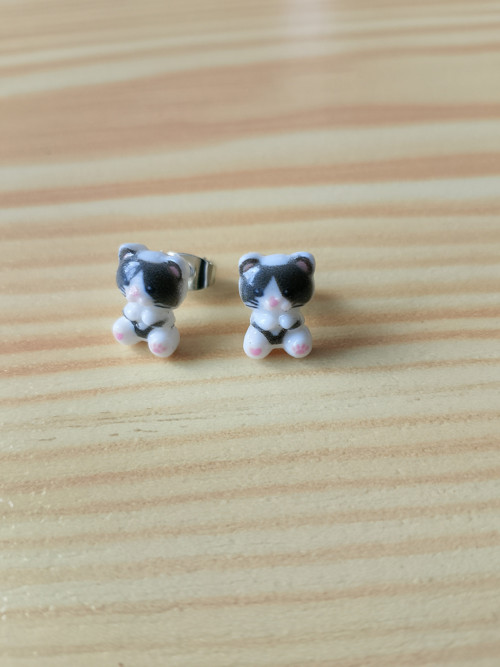 Koťátka — foto 3