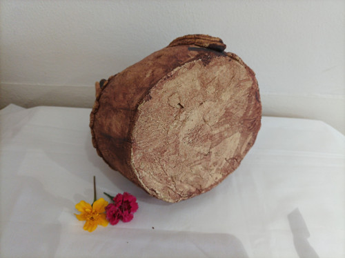 Slepičí úlet — foto 6