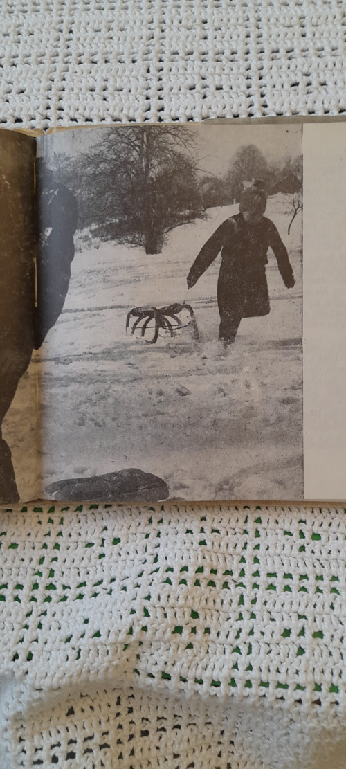 Lyšáci, Myšáci a Šibeničák — foto 2