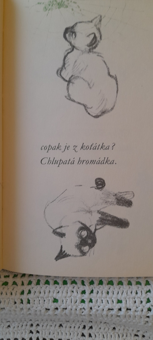 Kytička z náčrtníku — foto 3
