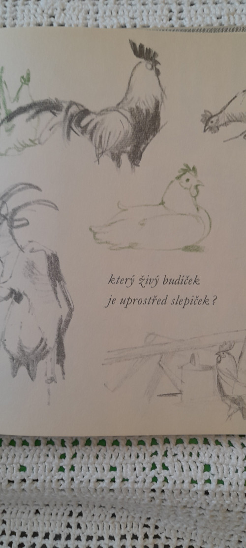 Kytička z náčrtníku — foto 2