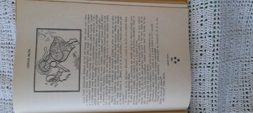 Princezna Holubice — foto 3