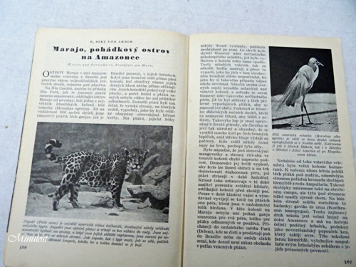 Zdroj 40 — foto 3