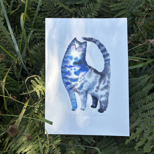 Kočena — foto 3