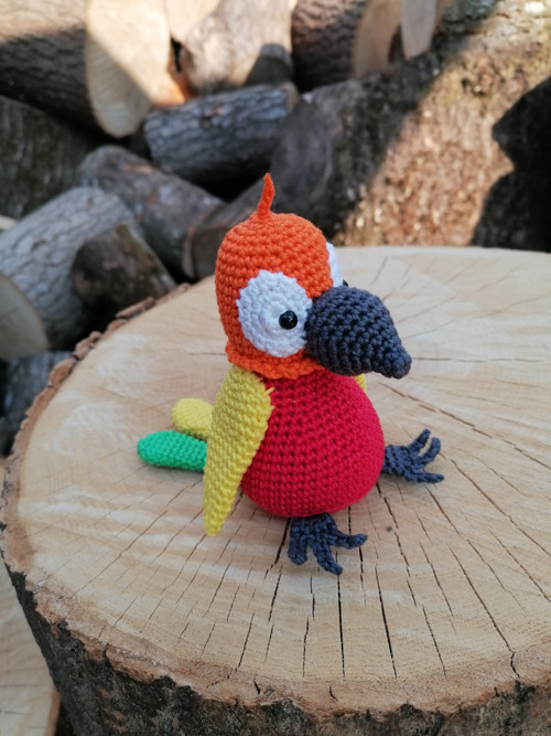 Mini papoušek — foto 3