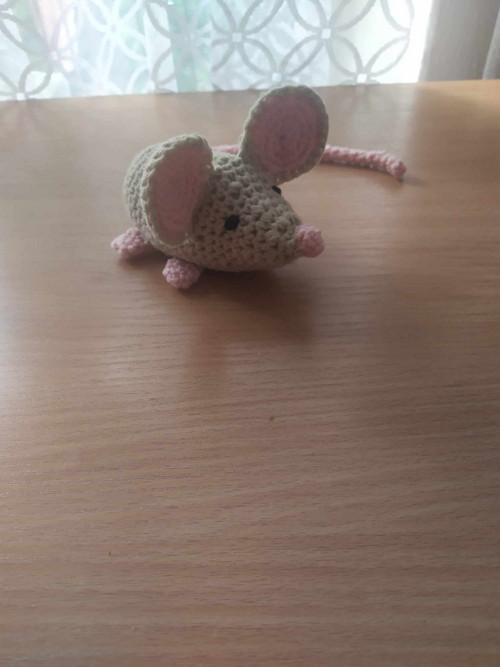 Mala přítulná myška Rozárka — foto 2