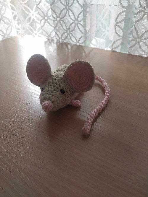 Mala přítulná myška Rozárka — foto 3